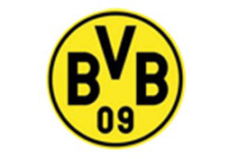 Sponsoring_logo-bvb_dortmund.jpg