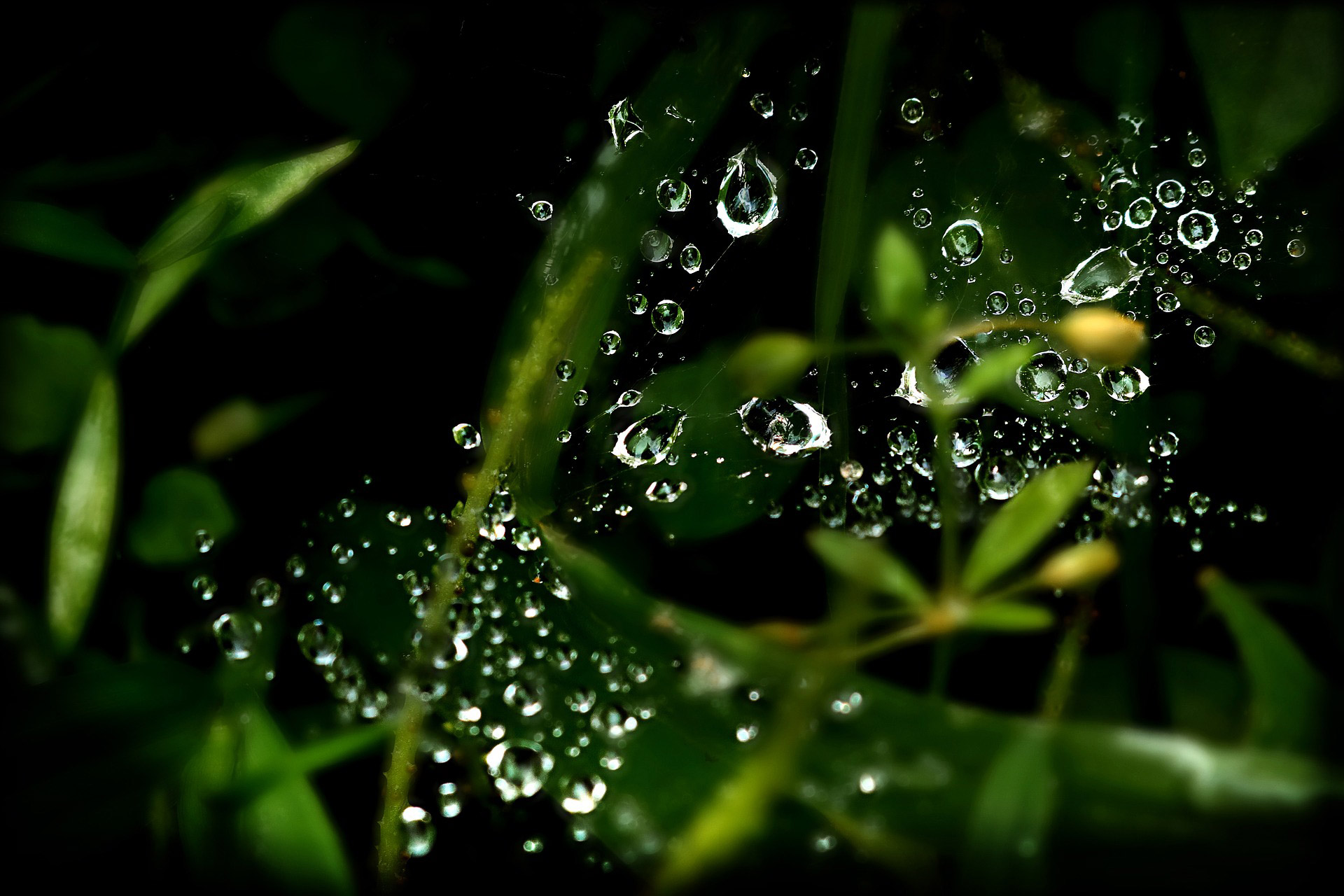 regenwasser-sammeln-zisterne